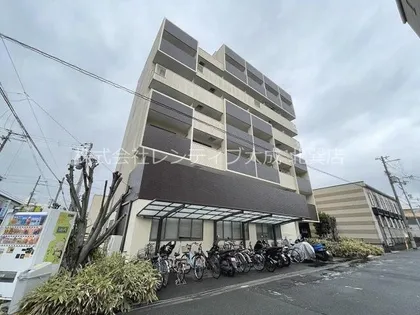 ラグタイム平野の画像