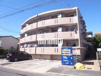 リエス鳴海の画像