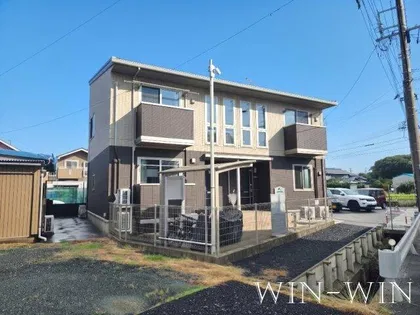 HIMAWARIの画像