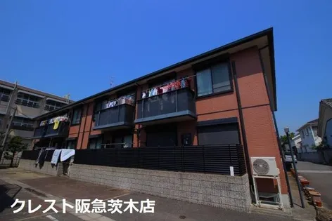 レナ水尾の画像