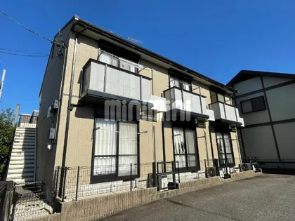 シャンブルカノリの画像