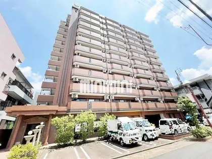 ラディアント柴田の画像