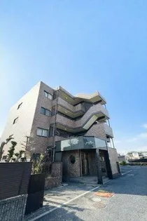 グラフィージュの画像