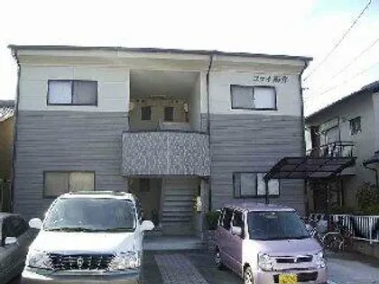 コライ南洋の画像