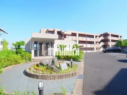 ヴィンヤードの画像