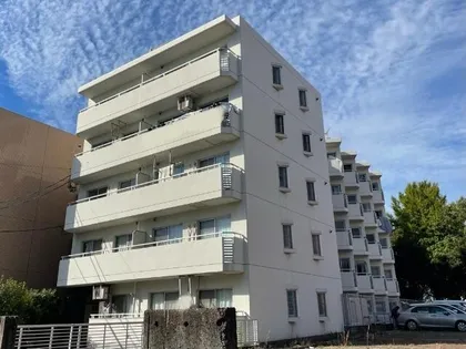 シャトーマグロの画像