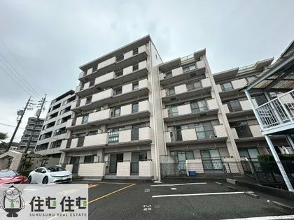 サフィニアMIの画像