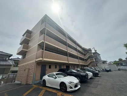 ティエリア豊田の画像