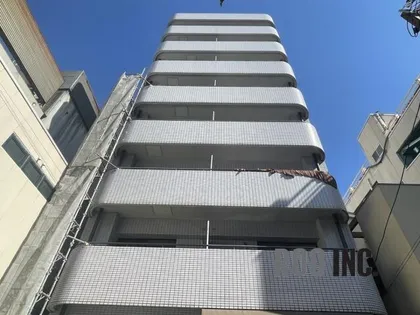 ペシュモトシオの画像