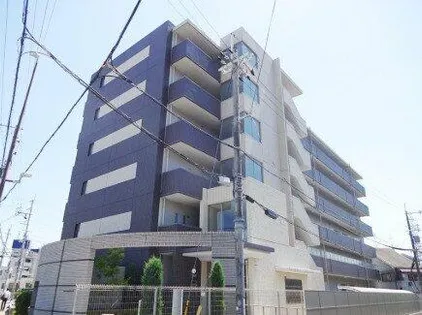 カンマキーノの画像