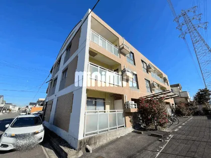 レインボービシュウの画像