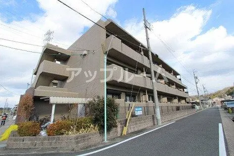 レージュ至来の画像