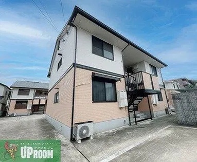 エヴァーグリーンBの画像