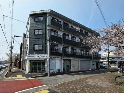 キャスモマンションの画像