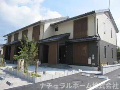 さくら 壱の画像