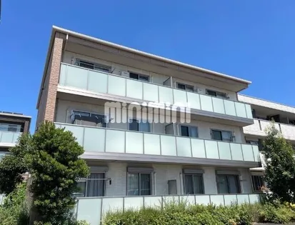 レッド ロビン Bの画像