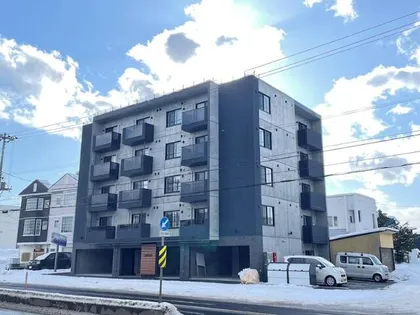 SORTEの画像