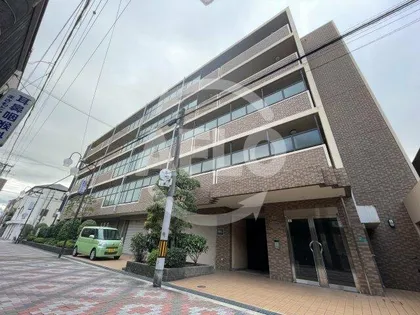 アンシャンテ平野の画像