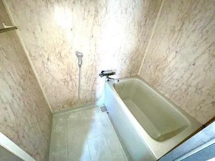 ヒルズトワニー【2階】の風呂