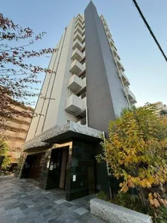 NORTH VILLAGE BIRTH PLACE【6階】の外観