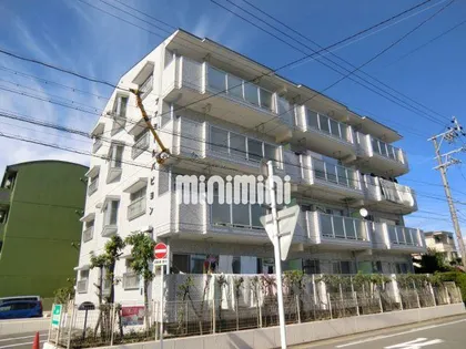 ファミールパピヨンの画像