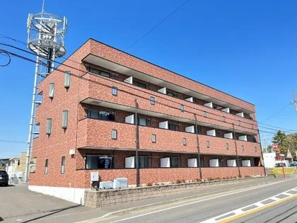 アンプルール フェール TSUGEの画像