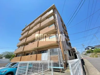 アリエス植田の画像