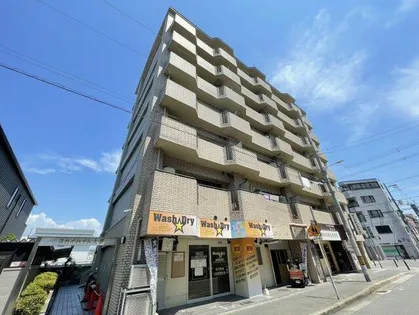 スカイハイム大喜の画像