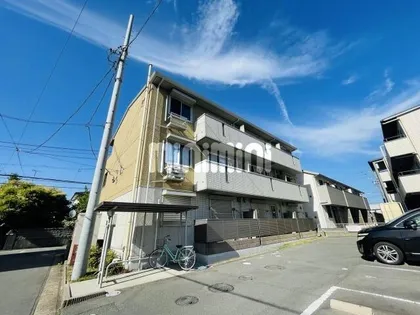 トレジャーの画像