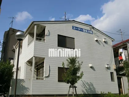 コージ弥生が岡の画像