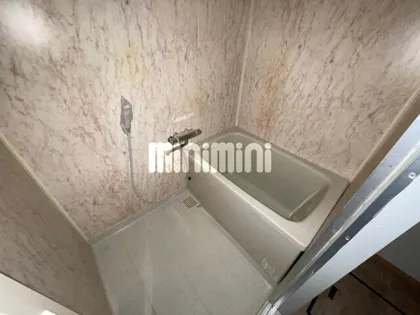 ヒルズトワニー【3階】の風呂