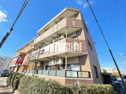 エル スティの画像