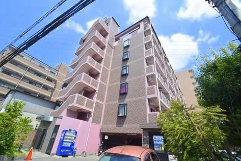 PRIMROSEの画像