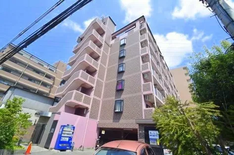 PRIMROSEの画像