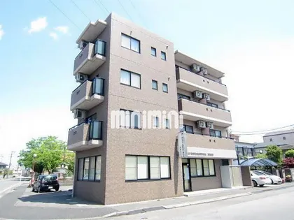 ジュネスケンイチIIの画像