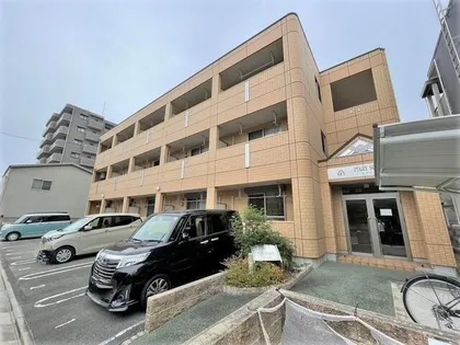 ピアリー外新の画像