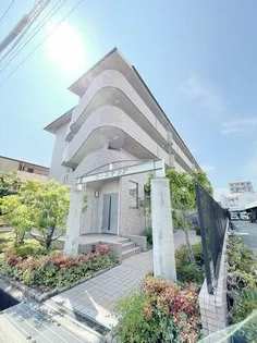 ウィステリアの画像