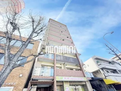 パラドール吹上【6階】の外観