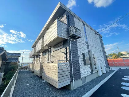 カンファーの画像