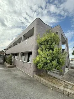 コーラルの画像