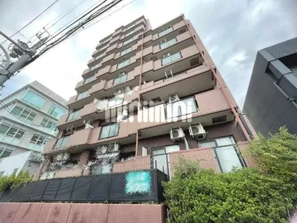 グロリアス滝子の画像