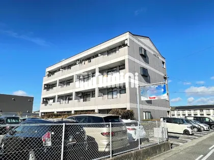 プリマヴェイラの画像