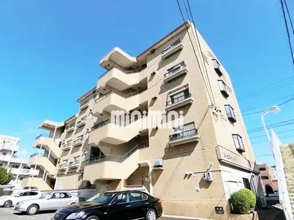 シャンポール幹Ⅱの画像