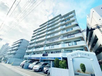 ティピカルタルミの画像