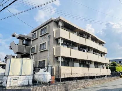 ソイルの画像