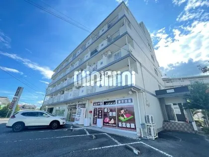 ステップVIIIの画像