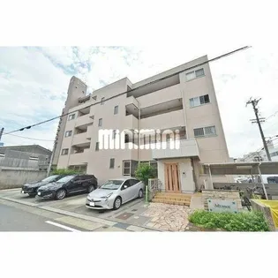 アドヴァンスの画像