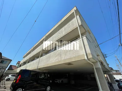 コンフォールサキの画像