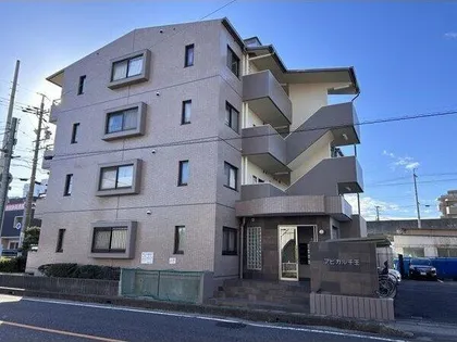 アピカル千王【4階】の外観