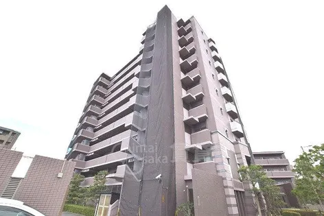 ヴェルデュール カーの画像